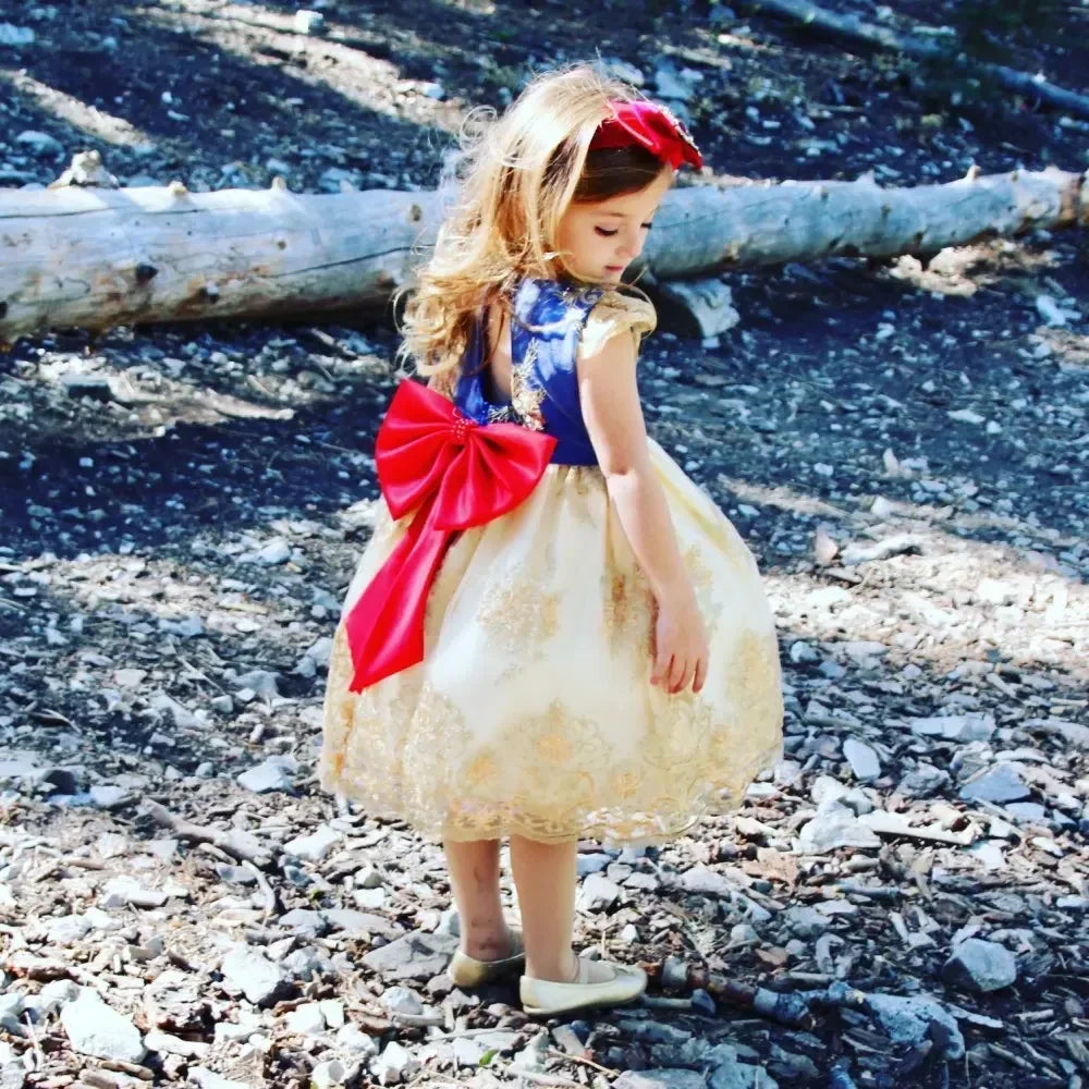 Kids Dresses for Girls 2024 New Flower Lace Princess Dresses Formal Evening Elegant Prom Gown Vintage Embroidery Luxury Dress